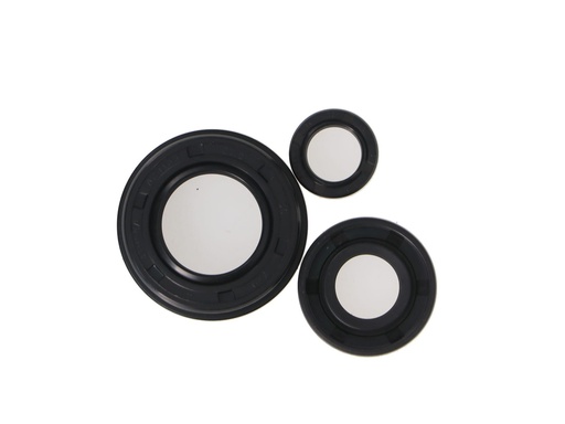 [VE05093000008] KIT RETENES MOTOR HONDA XR 250