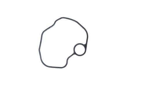 [VE99016001085U] EMPAQUE ORING TAPA CULATIN FT125