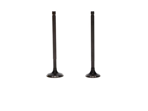 [N9010320-K] KIT VALVULA ADM/ESC TVS APACHE RTR 160/200 4V 